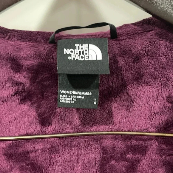 259 The North Face Shelbe Raschel Jacket - Picture 4 of 6